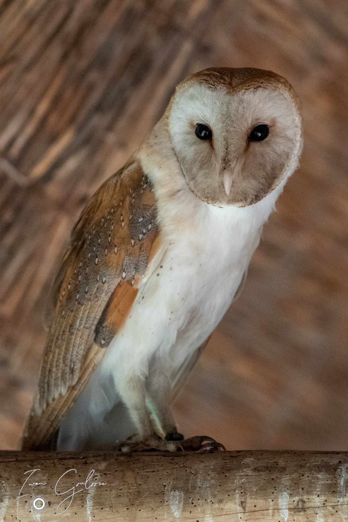 04 maart 2022 160600 1DX44166